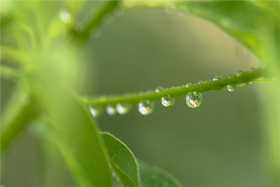 摄图网_500573853_banner_雨季（非企业商用）.jpg